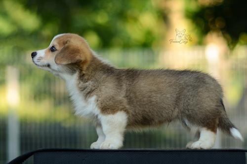 27214882 2c08ff42322459adc7f587f0955e8e11 xl