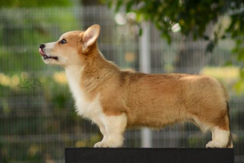 27223738 1a7d11bb6db87f895c4b7f009936fce4 xl