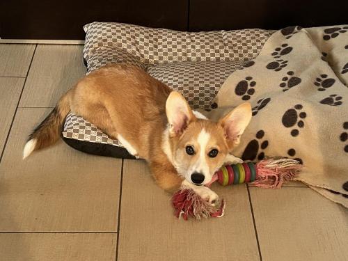 27253850 64326321d03203fd1c34ad92a4abe678 xl