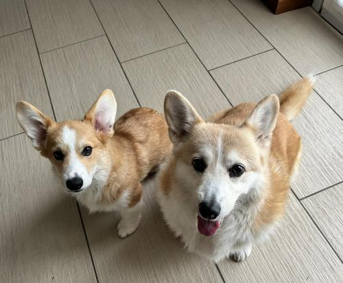 27253852 d706b85337316e507663b71e569b1f6b xl