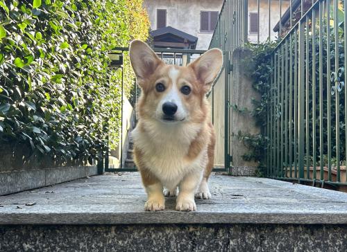 27253854 83afc5cfec53e0d47def821cbd96d6b9 xl