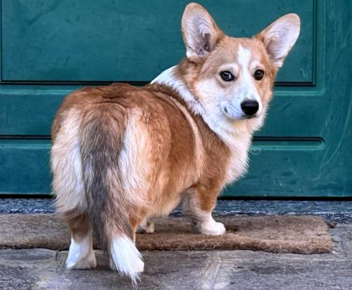 27253856 184e315b3ec36b2641fcdd52159f6965 xl