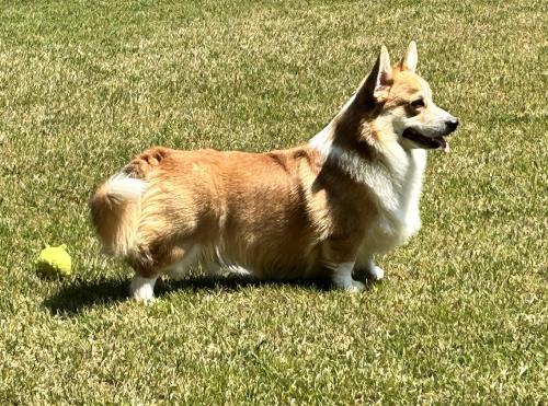 436256285 458956370053759 6676656321116294469 n