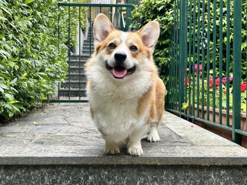 436660577 1373113733384730 3079948102590953454 n