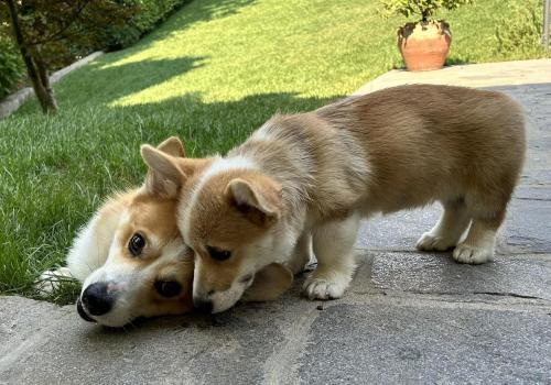 454579798 1436882513676545 124975038351017930 n