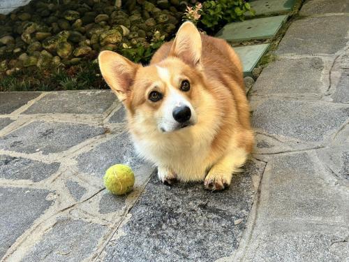 454620462 3796849627252768 3892089677741854946 n