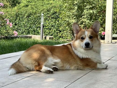 456348938 517546207432063 4970953685852699437 n