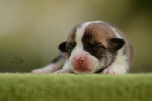 27196050 af20651dbd5d8716b7267808421ee7a6 xl