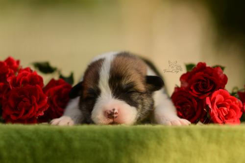 27197246 9aaff34b9073ffdf5d1cb2afca3f580b xl