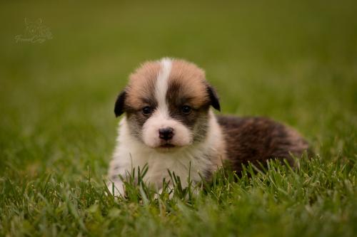 27202566 9915019c5b7cf6504ab36fd4778a0082 xl