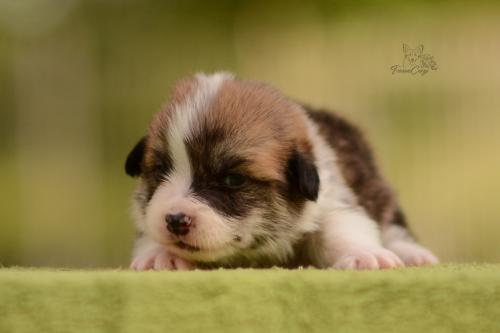 27202576 20c26ac2471f6809d021be3031c3bea6 xl