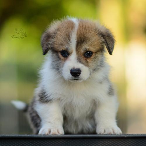 27208756 ea0490258f8a3342c7a460cdcca1dbf8 xl