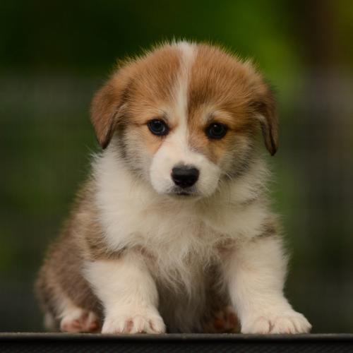 27210590 995b06b6d0bffb6d594d6cb222812c55 xl