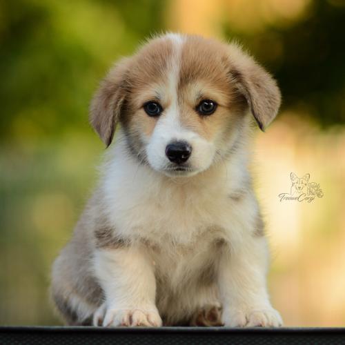 27213136 5a285f12febb3511438fffb7df74ac6b xl