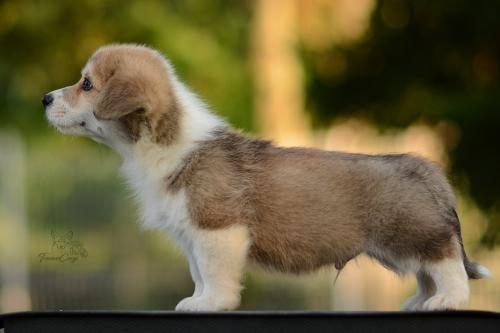 27213138 a0bf8c5e01cfb0e96bb3d315b98a4e11 xl