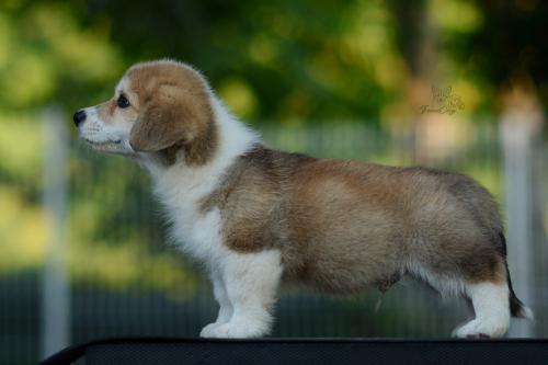 27214900 9b0fa3316f655d717360df8d1093e0e2 xl