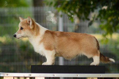 27223754 ee89cd362a14d18d9eba8358c6ed7051 xl