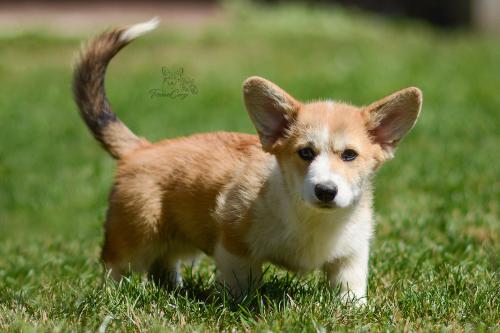 27223858 e949694235b4b95c587681f4a3adaf4d xl