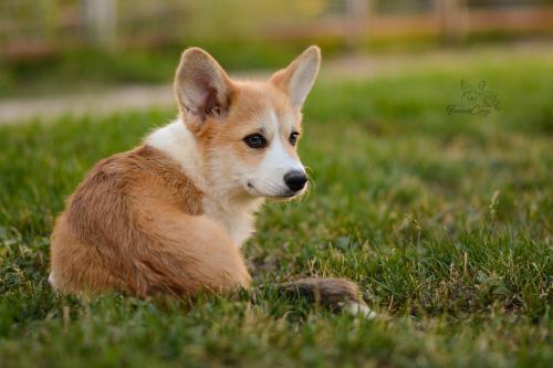 27223860 73575f6b2d87ffc7f7cfd4b4cd8cbe52 xl