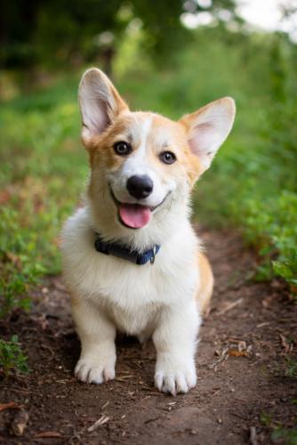 27253834 eb7b07096b868f538667bfff86ec01f7 xl