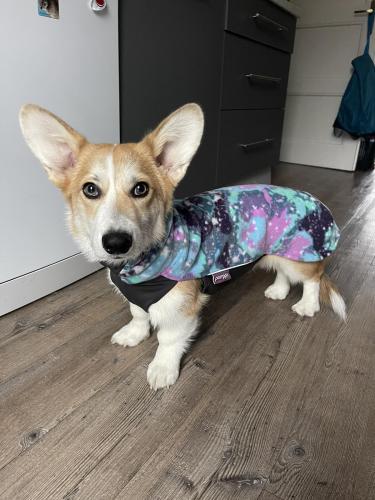 27253838 53f72d7c40d9be7f649f9b15157fc839 xl