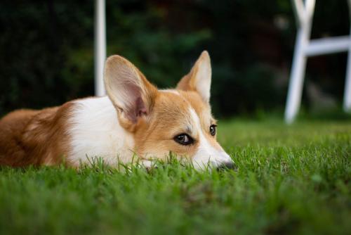 27253842 1e762b76c8670fb5b4b3012e8f34071d xl