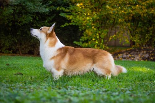 462535785 1755054375257314 47333484227151568 n