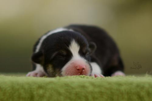 27196042 40c4b583454363bc407e6d4877a3da95 xl