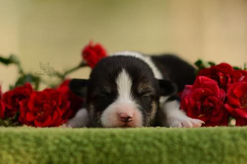 27197238 5429b987a8587864e0b24c86fc2b9674 xl