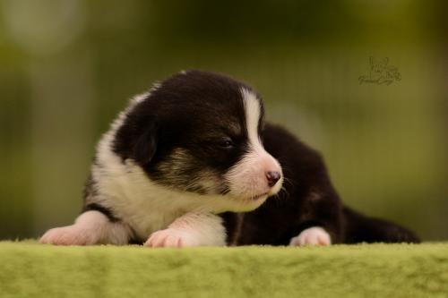 27202570 25dae03969bc56f37917606166bf8191 xl