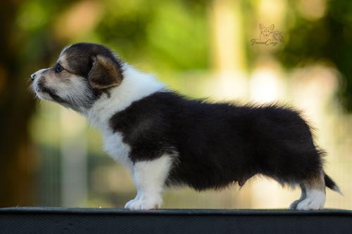 27208742 847af7e2b0e3eb87e742e78e2b0a1fb1 xl