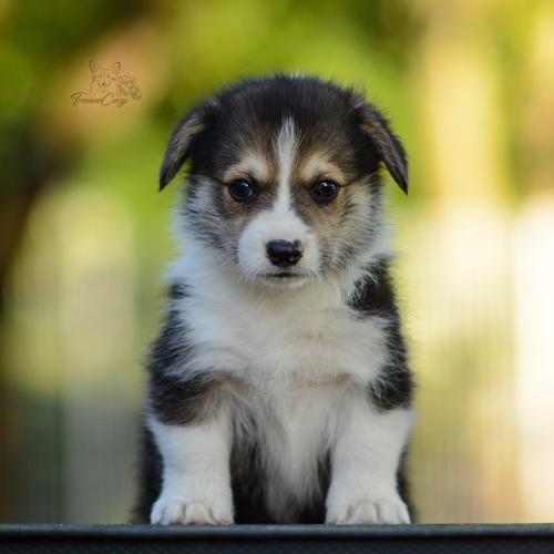 27208744 e86c7f7b56c4412f110a5329f25ad88c xl