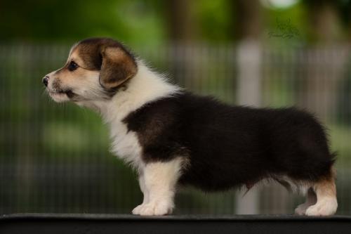 27210576 bb95f47ee3c6252f4531749c54f75871 xl