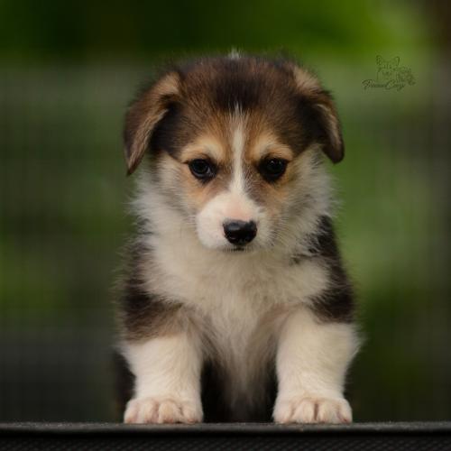 27210578 eeb9ed435a846947c4dc36713e21d0d6 xl