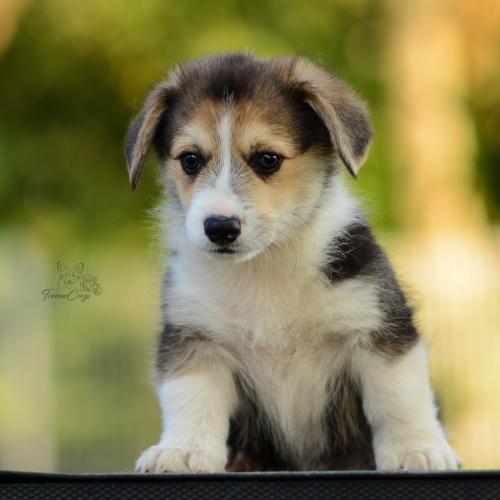 27213124 ed5a2ceeb2285c735f39f4a520c4eddb xl