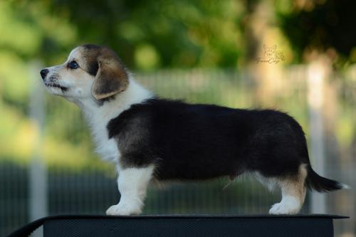 27214888 1a907a7fceab9e5f17a5940448b3d221 xl