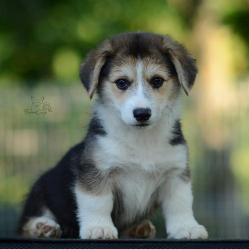 27214890 d1911b5f715ea7aeebab2ec1359bdb84 xl