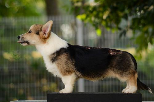 27223744 9334ae9e73d9e0649ae4d7a0ea4a19a0 xl