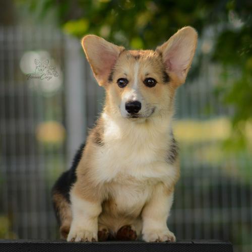 27223746 33e57a4fc16c03a204d56aa100df919f xl