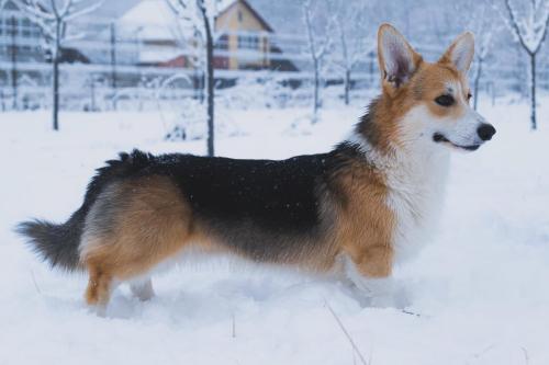 469752322 18087633208523884 1607708633015075733 n