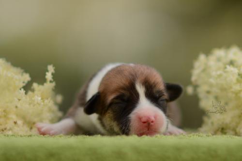 27196046 046c9c95f264067dcbb8936ad69afce3 xl