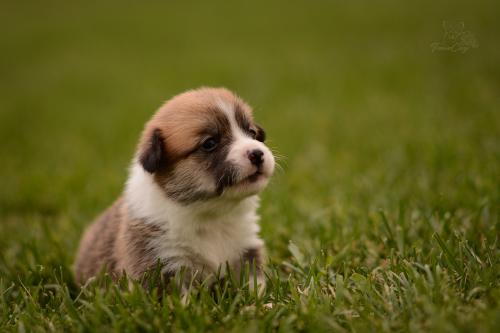 27202562 ab264a1bec579dc8a09a7948972128ab xl