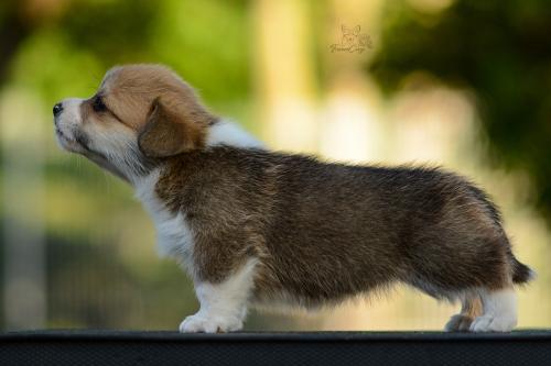 27208726 ec8d779bb3431b7df30f8acaf9522a8e xl