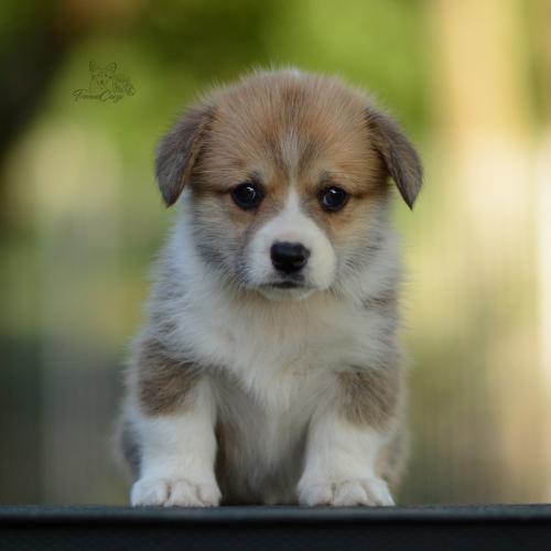 27208728 b3e37ddd83937a6d8cc2d91c6e1f0a6b xl