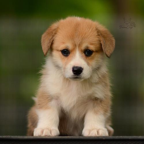 27210560 a21248b459ec85187a11280d6bb2b633 xl