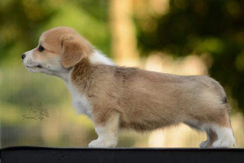 27213110 221a5a9d04f90cf9ecd4a5738ba38c8b xl