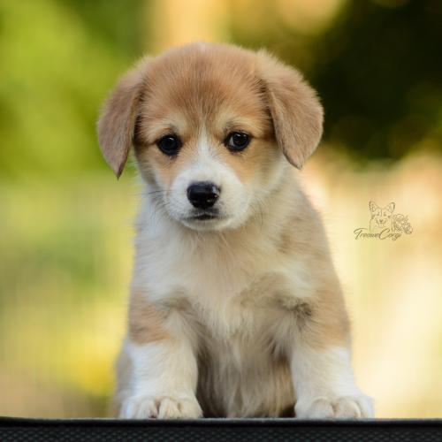 27213112 3bbe1ee43e7d004c5903b5df6565fdbc xl