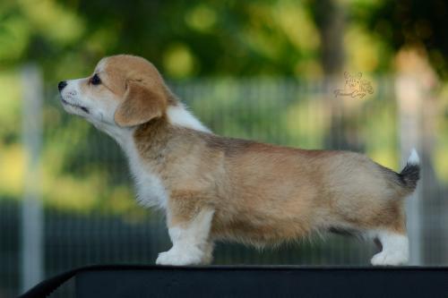 27214874 5646533e4ae567de236825bae949155d xl