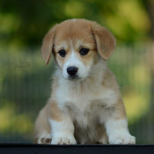 27214876 ee8f04a9f81530ee987a5e4009efd177 xl