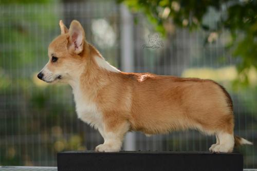 27223732 6c9918144df7cb50b87d68e6882b524b xl